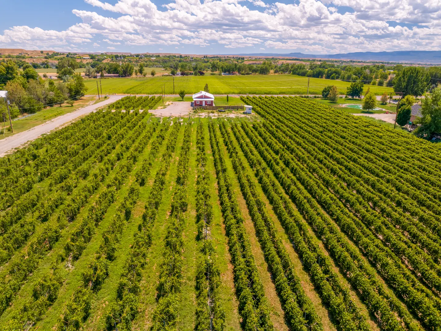 Drone photography aerial view 6 3472 F Road Clifton Colorado 81520 by Elevation Photography