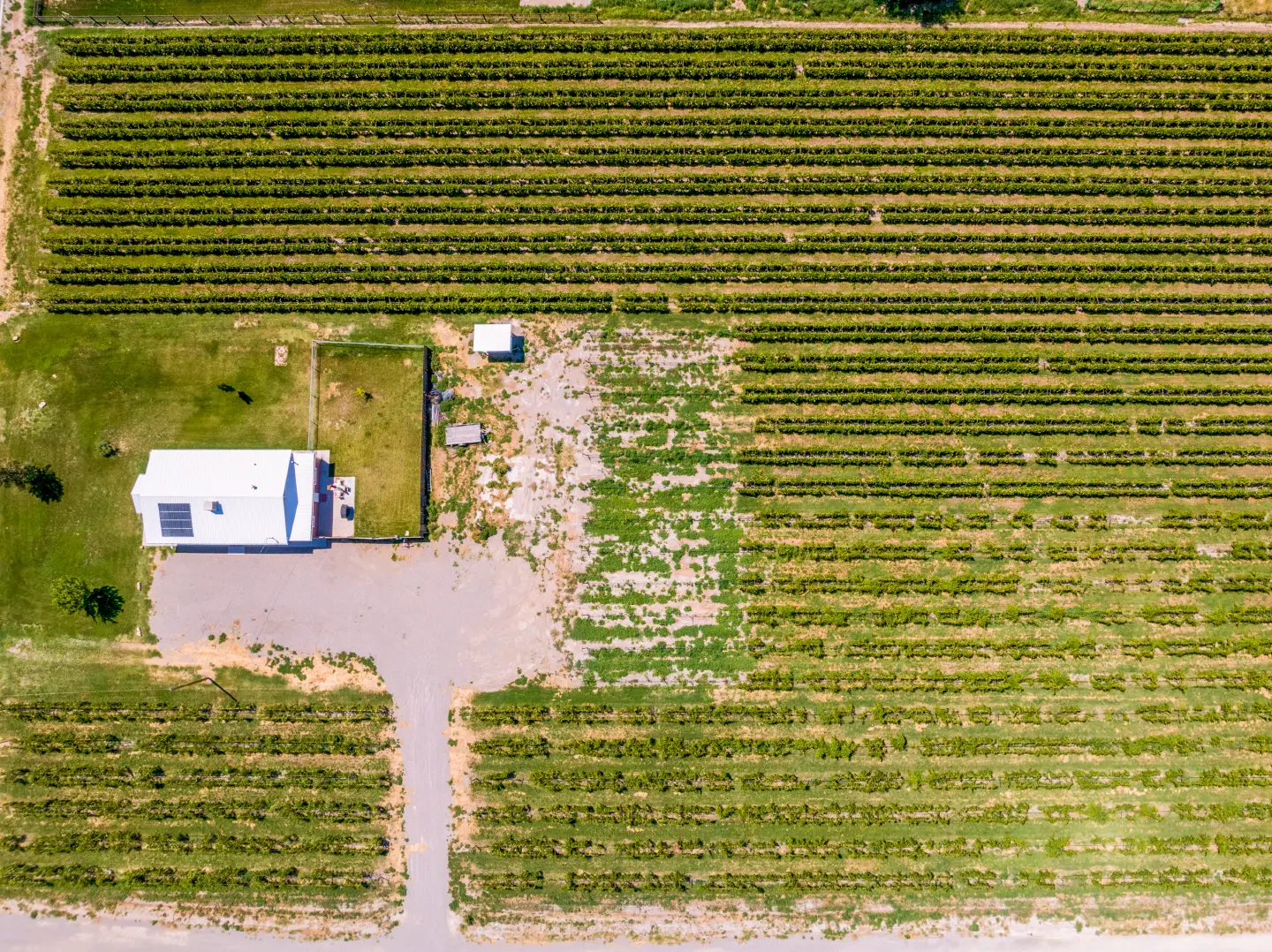 Drone photography aerial view 7 3472 F Road Clifton Colorado 81520 by Elevation Photography
