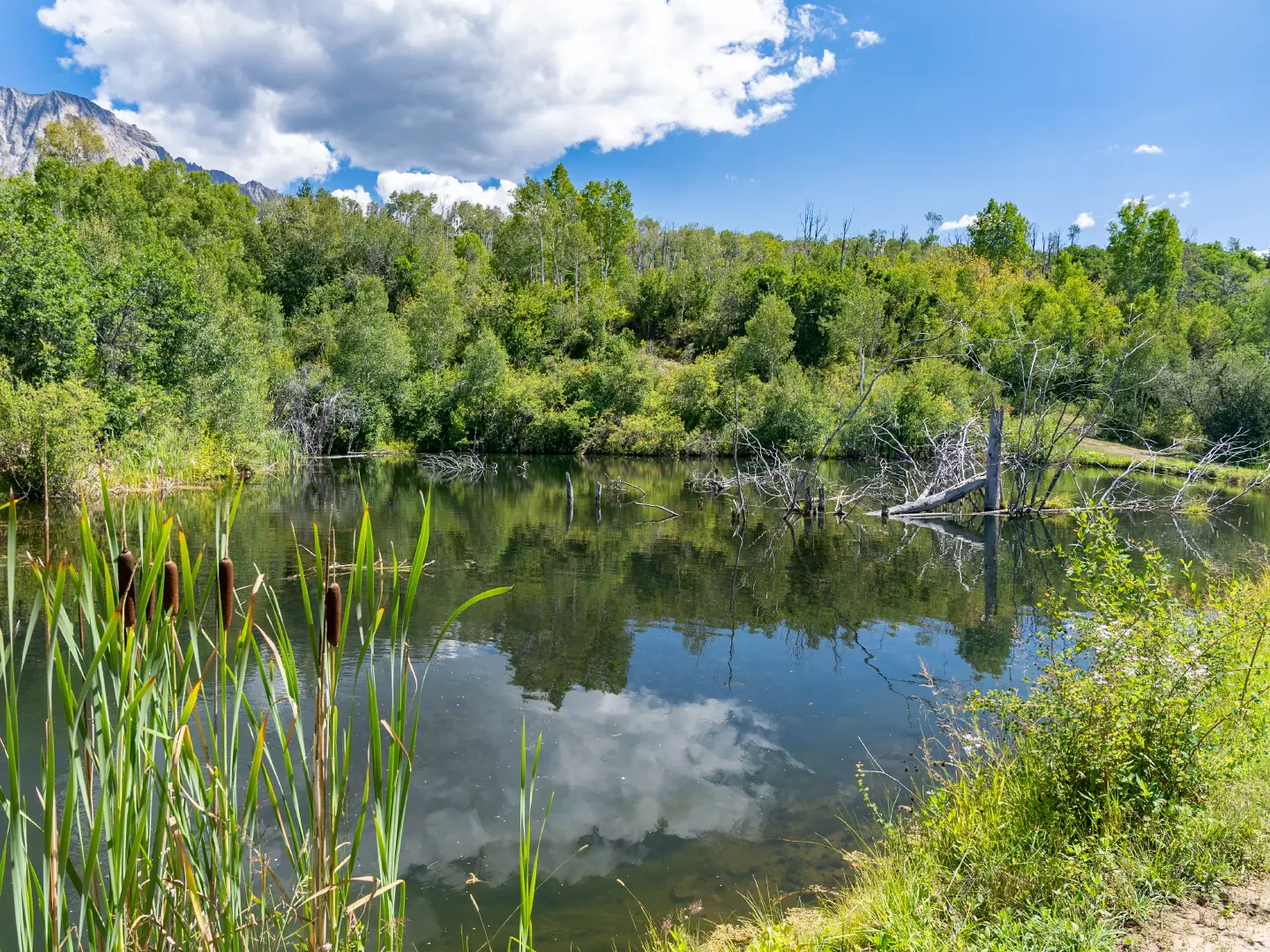 Bar ZX Ranch Lake View 1 by Elevation Photography