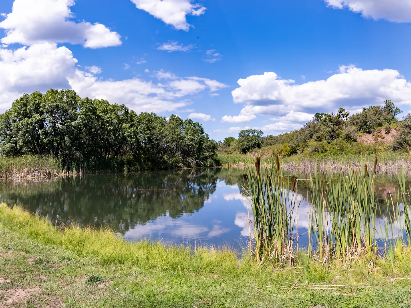 Bar ZX Ranch Lake View 2 by Elevation Photography