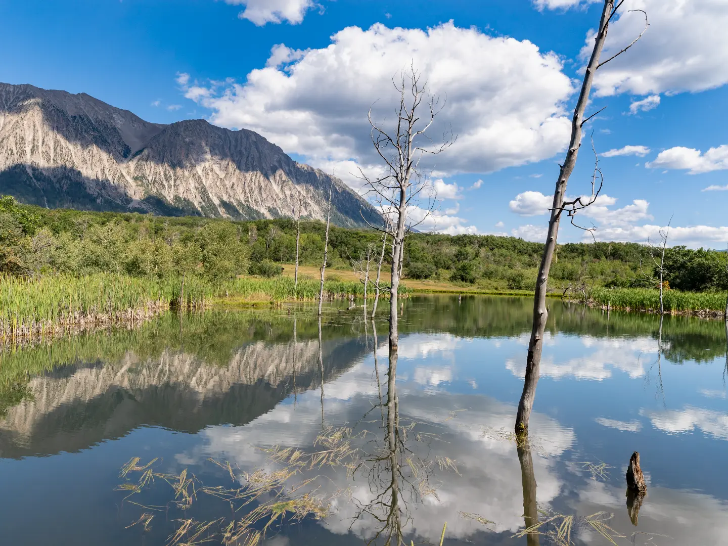 Bar ZX Ranch Lake View 6 by Elevation Photography